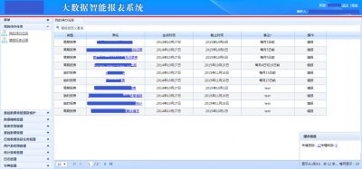 德陽某運營商大數據智能報表系統